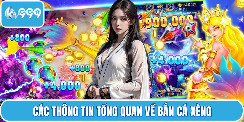 Các thông tin tổng quan về bắn cá xèng