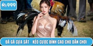Đá gà cựa sắt