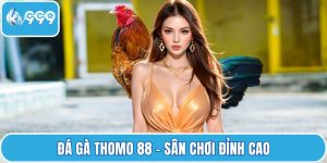 Đá gà Thomo 88