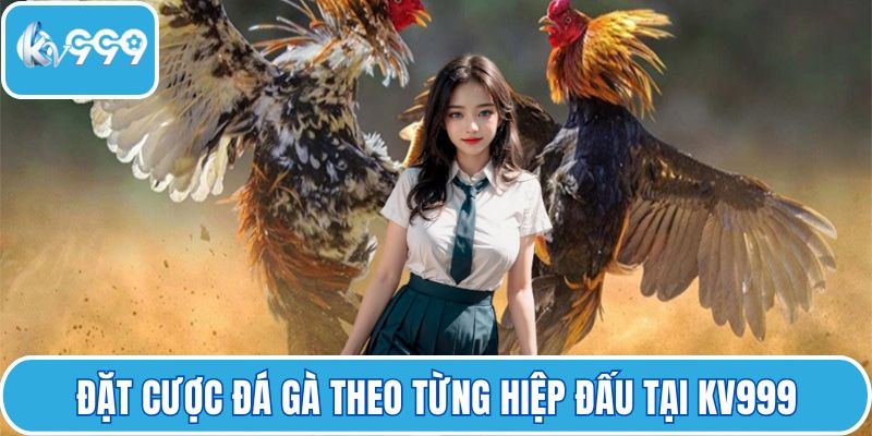 Đặt cược đá gà theo từng hiệp đấu tại KV999
