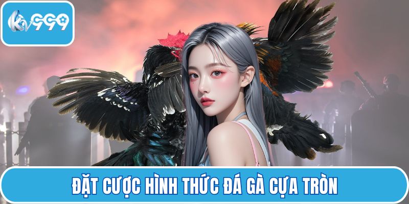Đặt cược hình thức đá gà cựa tròn