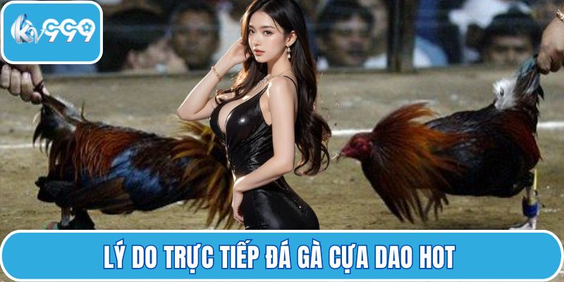 Lý do trực tiếp đá gà cựa dao hot 