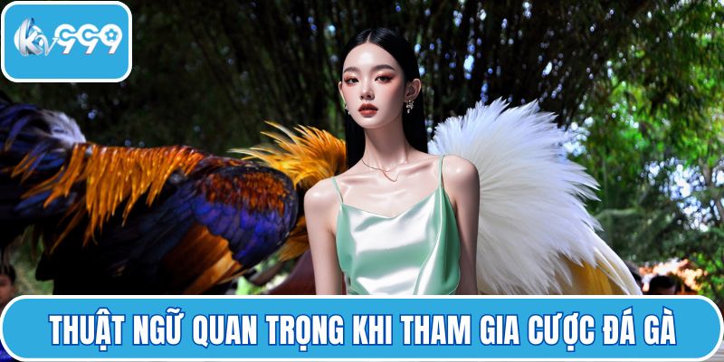 Thuật ngữ quan trọng khi tham gia cược đá gà