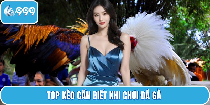 Top kèo cần biết khi chơi đá gà 