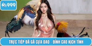 Trực tiếp đá gà cựa dao